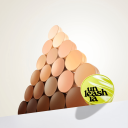 Unleashia Satin Wear Healthy Green Cushion Refill 25N Blush 15g
