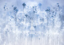 Icy blue Plakat Plakat / 40x50cm