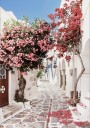 Pink Flower Trees in a Picturesque Alley Plakat Plakat / 21x30cm
