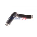 BOGAP C1711113 Ladeluftslange