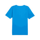 Puma individualRISE Graphic Jersey fotballtrøye herre Blå XL