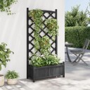 Plantekasse med espalier svart heltre gran