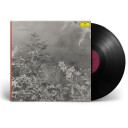 Balmorhea Pendant World Uk Vinyl