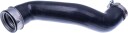 DENCKERMANN F100102 Ladeluftslange