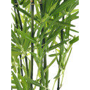 Europalms Bamboo In Bowl, 120cm