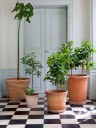 Bergs Potter København krukke Ø25 cm Rosa