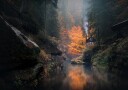 Misty Autumn Cabin Plakat / 70x100