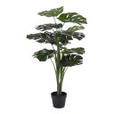 House Nordic Monstera 9501040