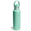 Hydro Flask HF Std Mouth Flex Straw Mermaid Green