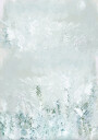 Winter White Forest Scene 2 Plakat Plakat / 50x70cm