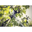 Fiskars Rydningssaks m powergear x ss