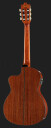 Ibanez GA5TCE-AM