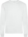 GAP Long Sleeved Heavy Relaxed T Shirt From The Gap Collection   FRESH WHITE   L