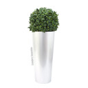 Europalms Leichtsin Elegance-69 Shiny-White
