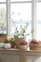 Wikholm Form Planter Bodil S 2 Beige