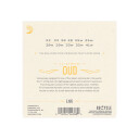 D'Addario Ej95 Oud/11-Str. Sett 022-041