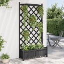 Plantekasse med espalier svart heltre gran