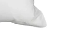 Halvor Bakke Gordon putevar egyptisk bom 50x70 Hvit