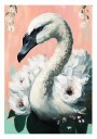 Swan Elegance Plakat / 30x40cm
