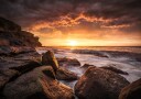 Cape Solander Plakat Plakat / 100x150cm