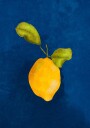Just a little lemon Poster Plakat / 40x50cm