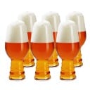 Craft Beer IPA-glass 6-pakning