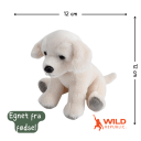 Pocketkins Eco Dog Plush | Wild Republic