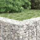 vidaXL Gabion høybed 3 stk 30x30x200 cm jern