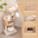 Cwy Ripestolpe Med Kattehule 104 cm Høyt Kattetre Med Abbor & Plattform Beige + Natur