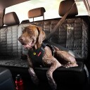 Ezydog Bilsele Medium Sort 38-86 cm for Hunder