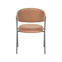Trendcollection 2 Stk Lowen Spisestoler Cognac