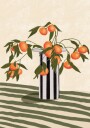 Orange Branches Vase Plakat / 50x70