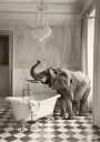 Elephant"s Elegant Bathtub Plakat / 100x150