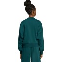 Adidas Jg Clgt Ft Swt Aurivy/White 128 Sweatshirts