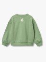 Wheat Breeze Collegegenser Jade Green 116