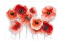 Fototapet Nine Poppies 400x280 - Artgeist sp. z o. o.