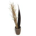 Europalms Fennel Bunch, Dried, Gold 160cm