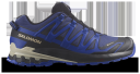 Salomon XA Pro 3D V9 GTX Blue Print/Surf the Web/Lapis Blue 41 1/3