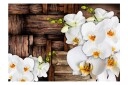 Fototapet Blooming Orchids 350x245 - Artgeist sp. z o. o.