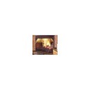 Fireplace Grid - kun for Built-in Gjør om grillen til en peis