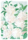 Lotte Blursbyai Ilp26 04 A3 Plakat Plakat / 21x30cm
