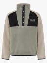 Didriksons Kids' Yokto Half Button 2 Wilted Leaf 170