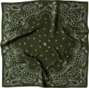 Le Scarf Paisley silk scarf OS grønn dame