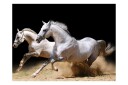 Fototapet Galopperende Hester På Sanden 400x309 - Artgeist sp. z o. o.