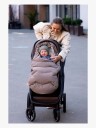 Vognpose Voksi Explorer Walnut-wings