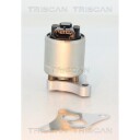 EGR Ventil TRISCAN 8813 24002