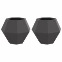 vidaXL Plantekassed 2 pcs Svart 50 x 50 x 40 cm Stål