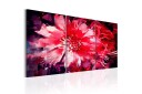 Tavle Crimson Flowers 60X30 Artgeist sp. z o. o.