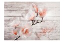 Fototapet Subtlety Of The Magnolia 300x210 - Artgeist sp. z o. o.