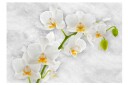Fototapet Lyrical Orchid White 100x70 - Artgeist sp. z o. o.